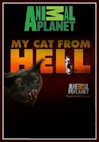 ������ ������ ����� �� DVD