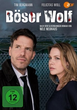 ������ ���� ���� �� DVD