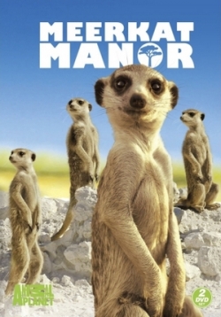 ������ �������� ��������� �� DVD