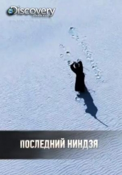������ ��������� ������ �� DVD