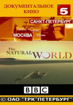 ������ ��� ������� �� DVD