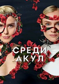 ������ ����� ���� �� DVD