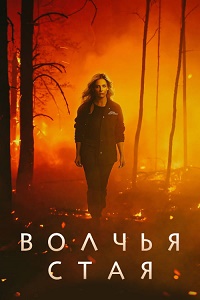 ������ ������ ���� �� DVD