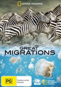 ������ ������� �������� �� DVD