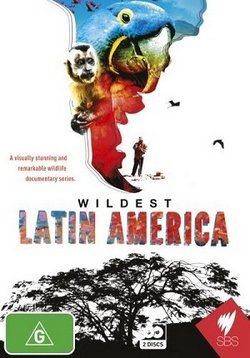 ������ � ������ ��������� ������� �� DVD