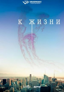 ������ � ����� �� DVD