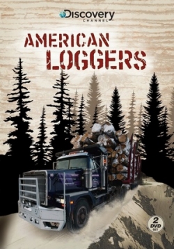 ������ ������������ �������� �� DVD