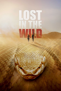 ������ ���������� � ����� ������� �� DVD