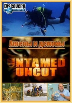 ������ ����� � ������� �� DVD