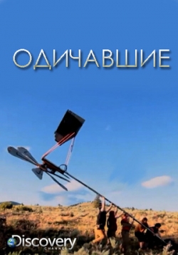 ������ ��������� �� DVD