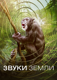 ������ ����� ����� �� DVD