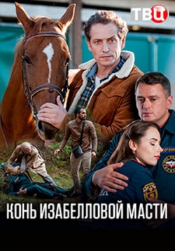������ ���� ����������� ����� �� DVD
