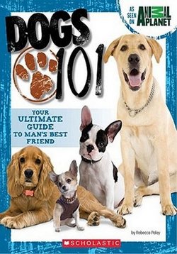 ������ �������� � ������������� �� DVD