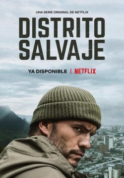 ������ ����� ����� �� DVD