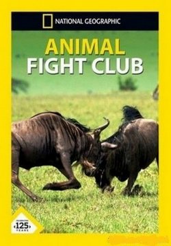 ������ ���������� ���� ��� �������� �� DVD