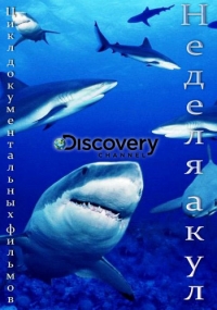 ������ ������ ���� �� DVD