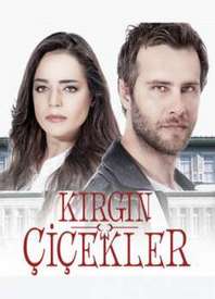 ������ ��������� ����� �� DVD