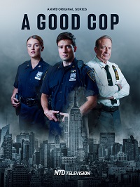 ������ ������� ��� 2022 �� DVD