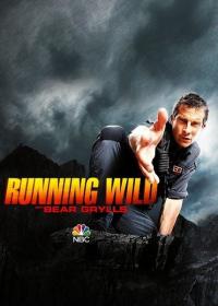 ������ �������� ��������� � ������ �������� �� DVD