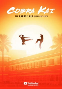 ������ ����� ��� �� DVD