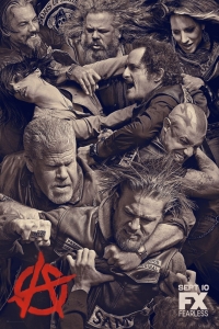 ������ ���� ������� �� DVD