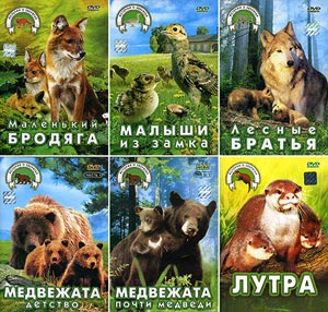 ������ ������� � �������� �� DVD