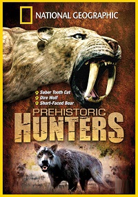 ������ �������������� ������� �� DVD