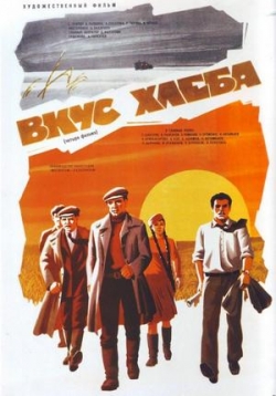 ������ ���� ����� �� DVD