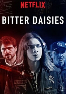 ������ ������ ���������� �� DVD