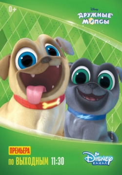 ������ ������� ����� �� DVD