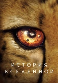 ������ ������� ��������� �� DVD