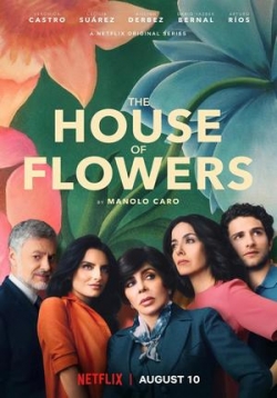 ������ ��� ������ �� DVD