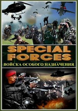 ������ ������ ������� ���������� �� DVD