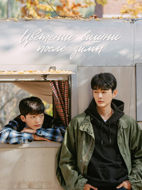 ������ �������� ����� ����� ���� �� DVD