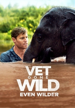 ������ ��������� � ����� ������� �� DVD