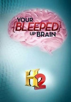 ������ ��� ������������ ���� �� DVD
