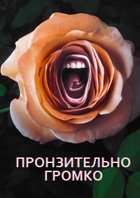 ������ ������������ ������ �� DVD