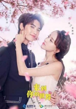 ������ ���������� �� DVD