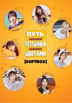 ������ ���� ��������� ������� �� DVD