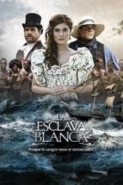������ ����� ������ �� DVD