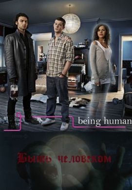 ������ ���� ��������� �� DVD