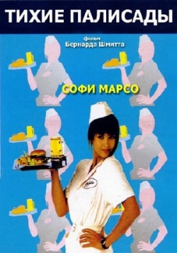 ������ ����� �������� �� DVD