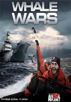 ������ ������� ����� �� DVD