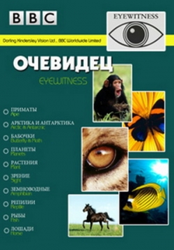 ������ �������� �� DVD