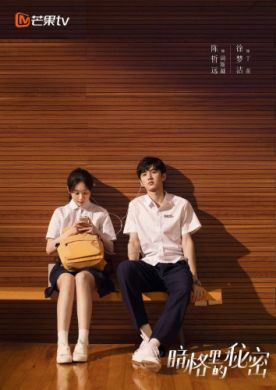 ������ ������ � Ҹ���� ������� �� DVD