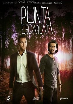 ������ ���� ��� �� DVD