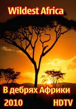 ������ � ������ ������ �� DVD