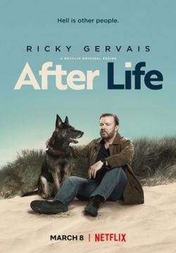 ������ ����� ����� �� DVD
