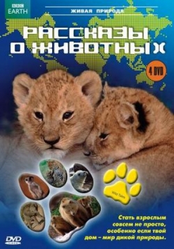 ������ �������� � �������� �� DVD