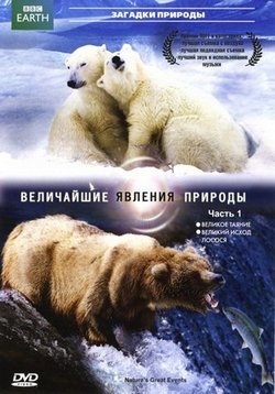 ������ ���������� ������� ������� �� DVD